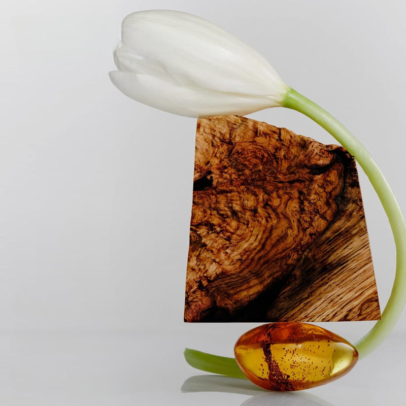 Santal & Vetiver